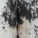 erfahren sie, warum schimmel an der wand immer wieder auftaucht, welche ursachen dahinterstecken und wie sie das problem dauerhaft bekämpfen können.