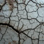 entdecken sie, wie ein alter topf meisen im winter schützt – ohne teure vogelhäuschen oder futter zu verwenden.